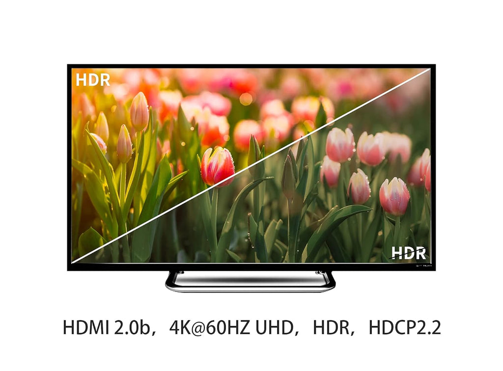 4K Fiber Optic HDMI Cable 30ft Q443716