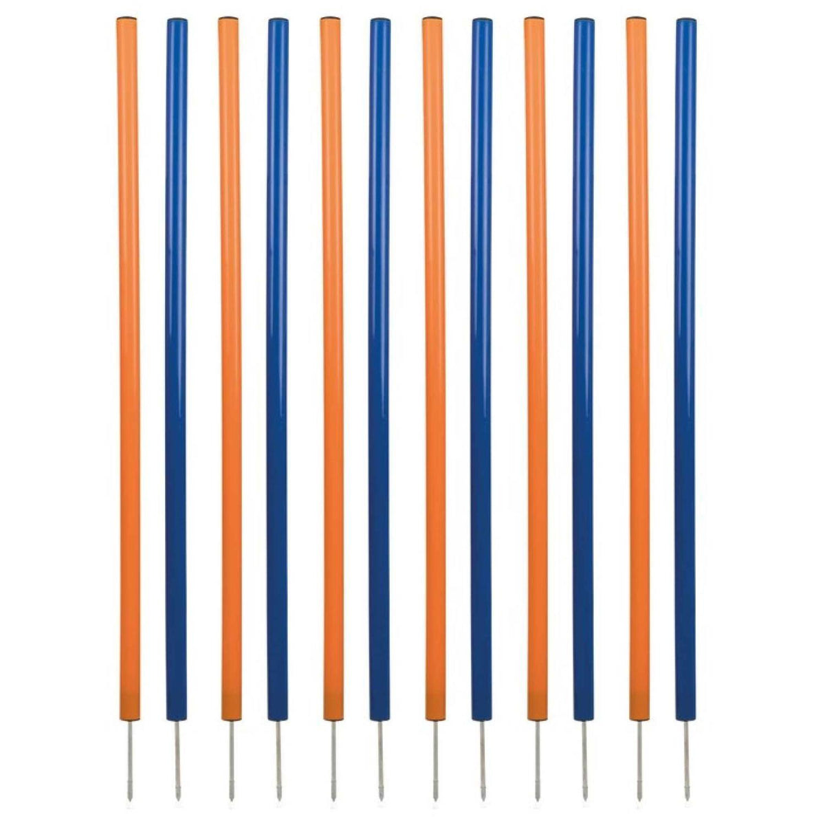 Dog Training Poles W333