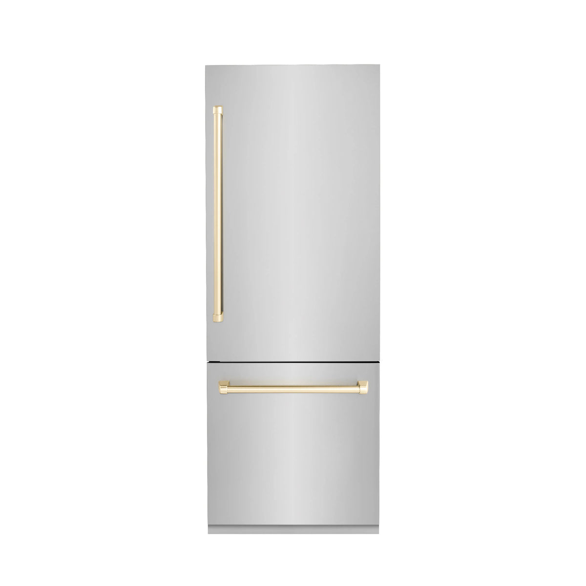 30 In. Built-In Refrigerator with Water and Ice Dispenser P202