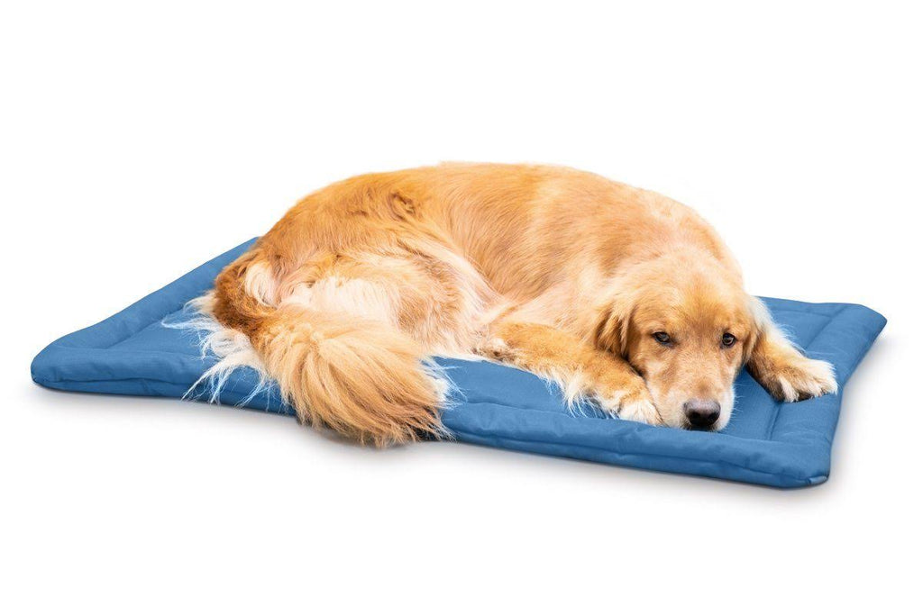 Chew Resistant Crate Pad, Blue / X-Large F185422
