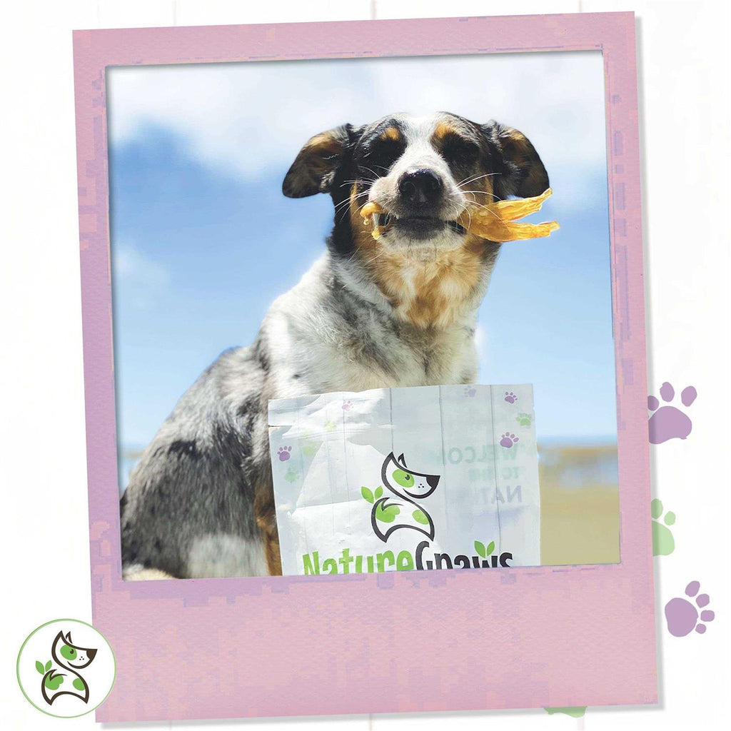 Beef Tendon Dog Chews V6704