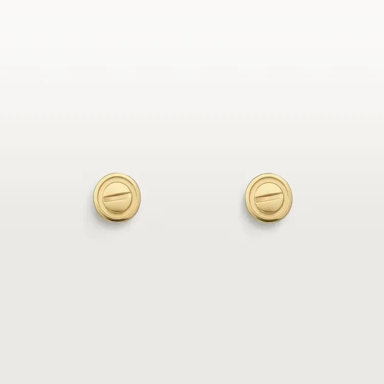 Earrings V27563