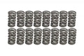 .700x22 Dual Valve Springs F8541