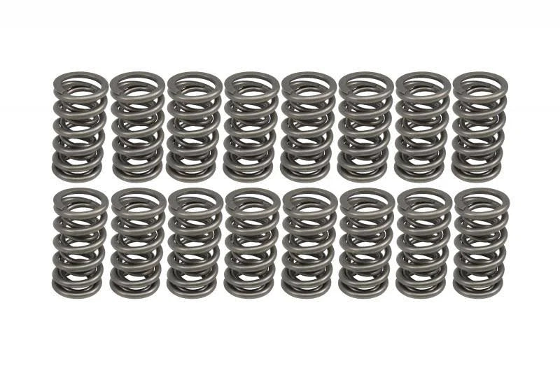.700x22 Dual Valve Springs F8541