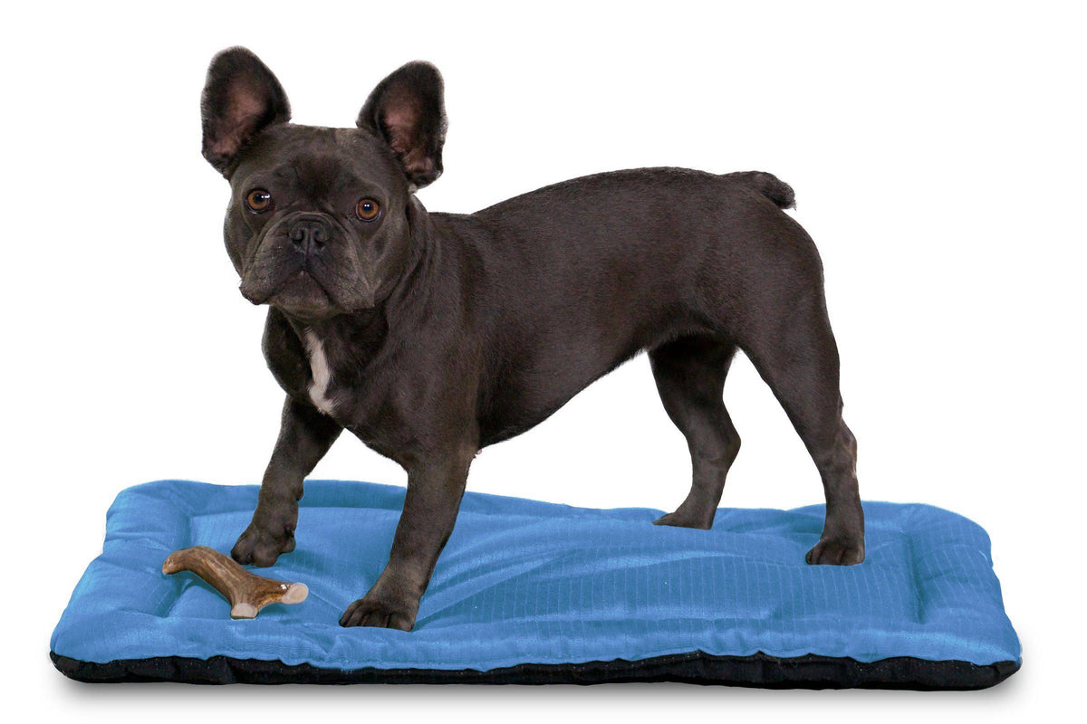Chew Resistant Crate Pad, Blue / X-Large F185422