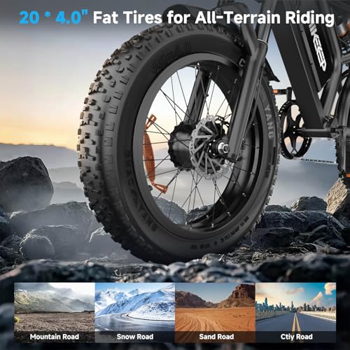 20 x 4 Inch Fat Tire 750W Electric Bike E15579