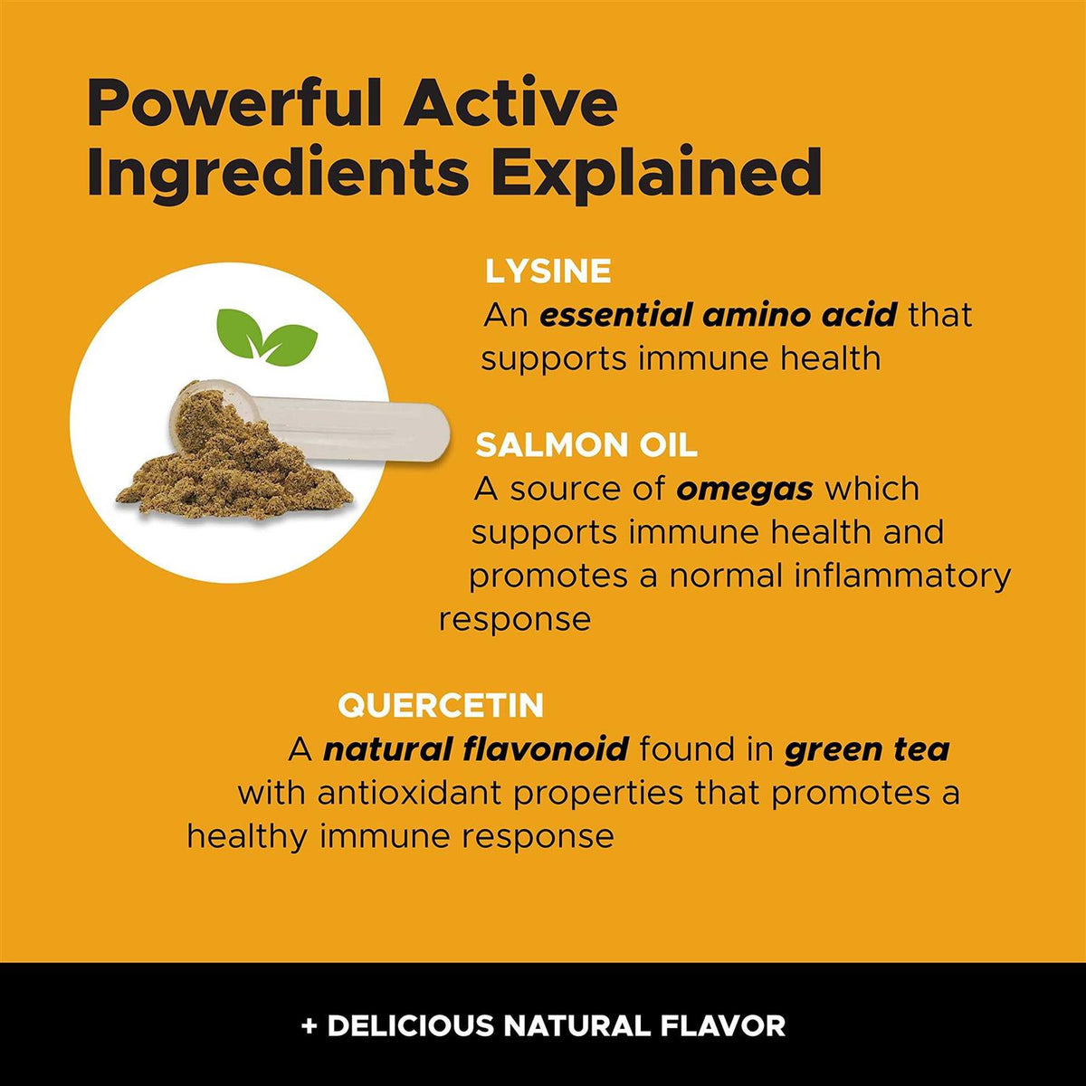 Lysine Powder Cat Supplement N88219