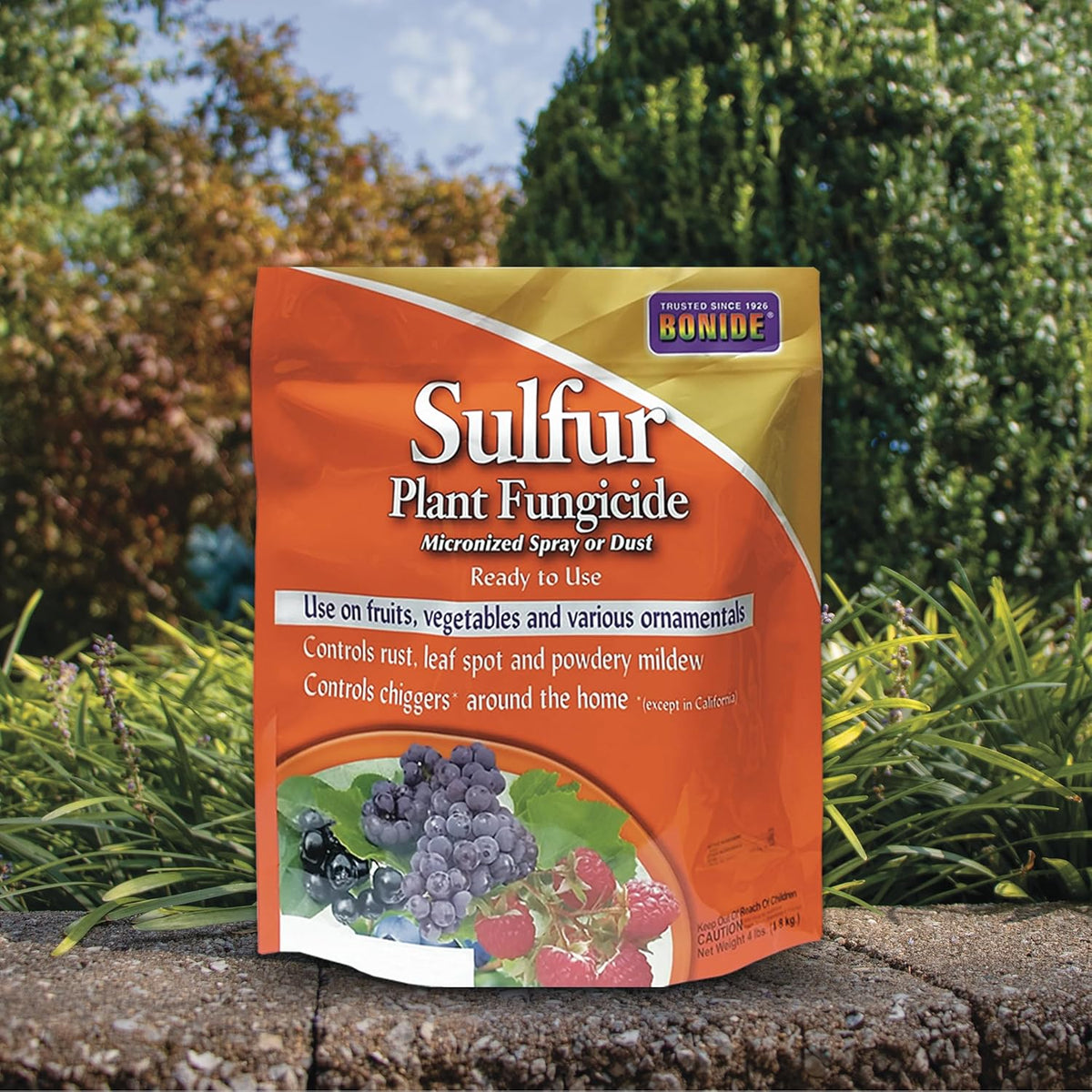 4 lb. Sulfur Plant Fungicide F378949