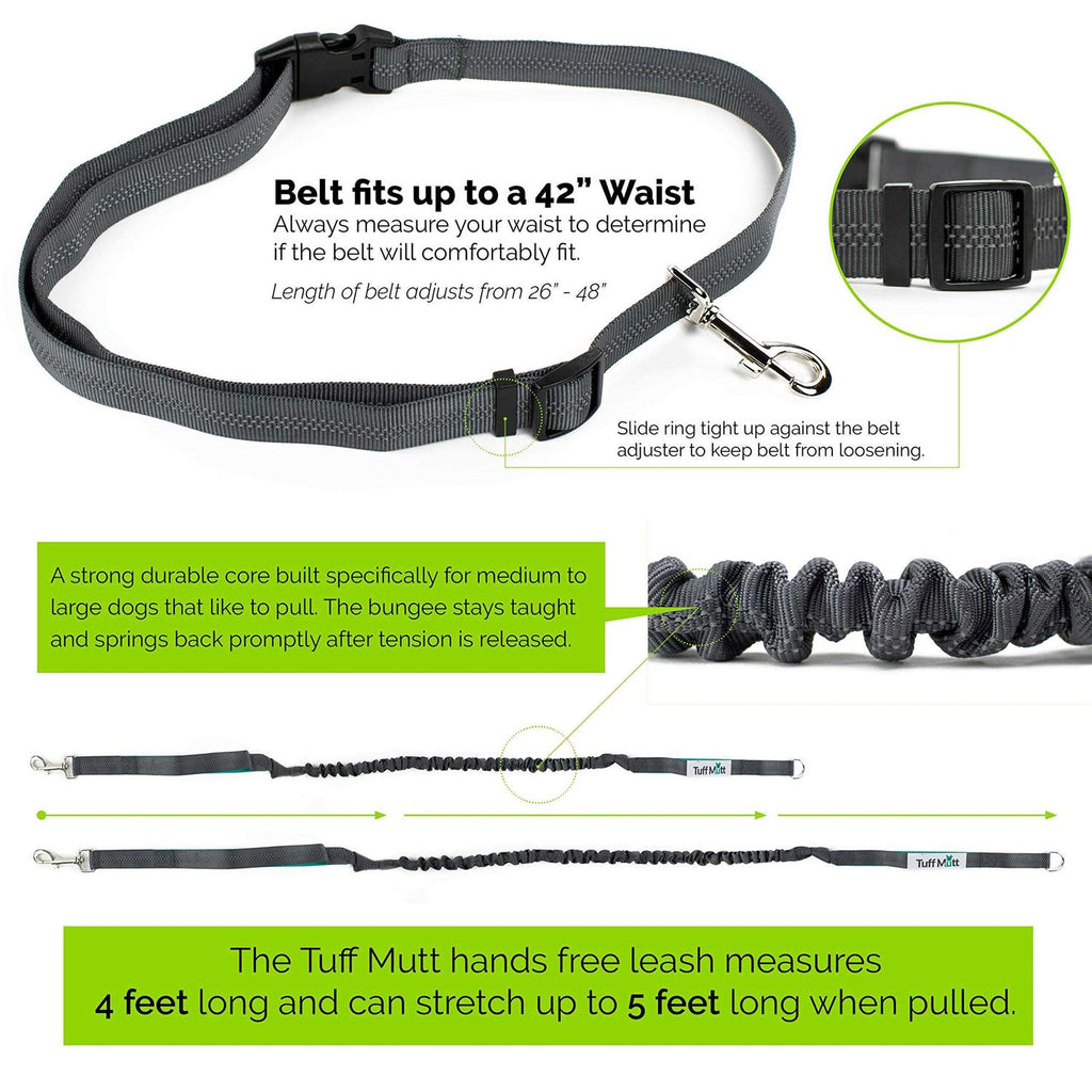 Hands Free Dog Leash with Dual-Handle Bungee X686