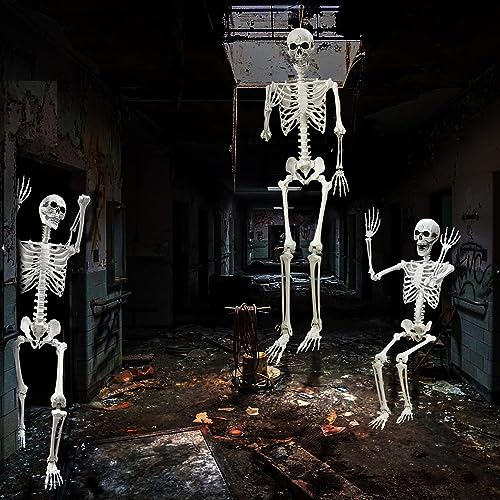 5.4Ft Halloween Life Size Human Skeleton with Movable Joints S960