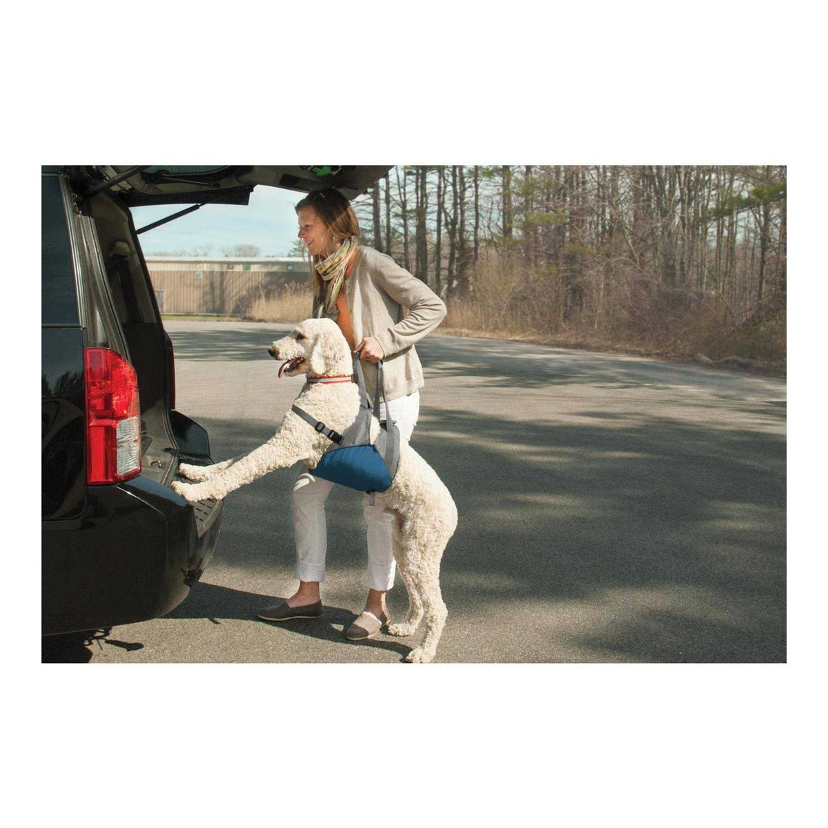 Dog Lifter Y397
