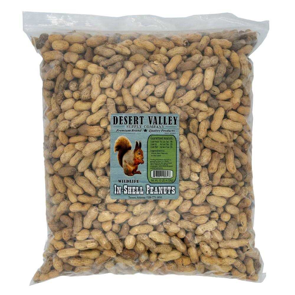 Peanuts in Shell A931009