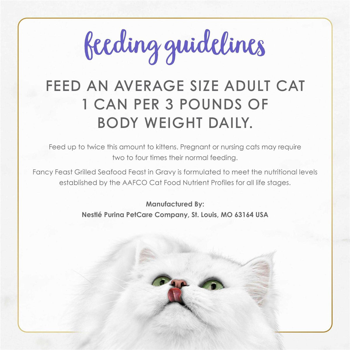 Grilled Seafood Wet Cat Food A975