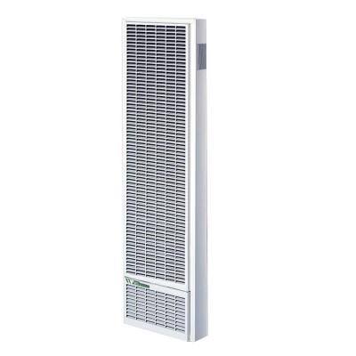 25,000 BTU/Hour Top-Vent Gravity Wall Furnace LP Gas Heater with Thermostat G2136
