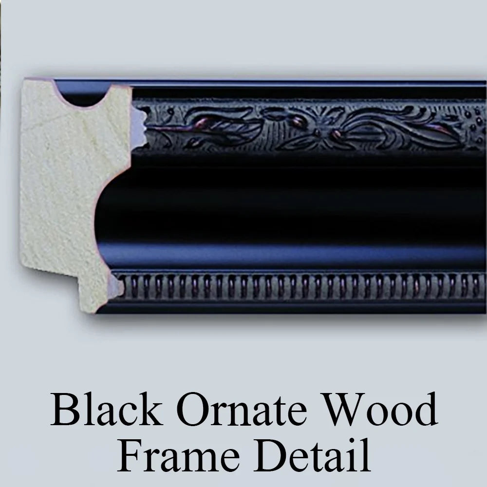 Black Ornate Wood Framed Museum Art Print N9369