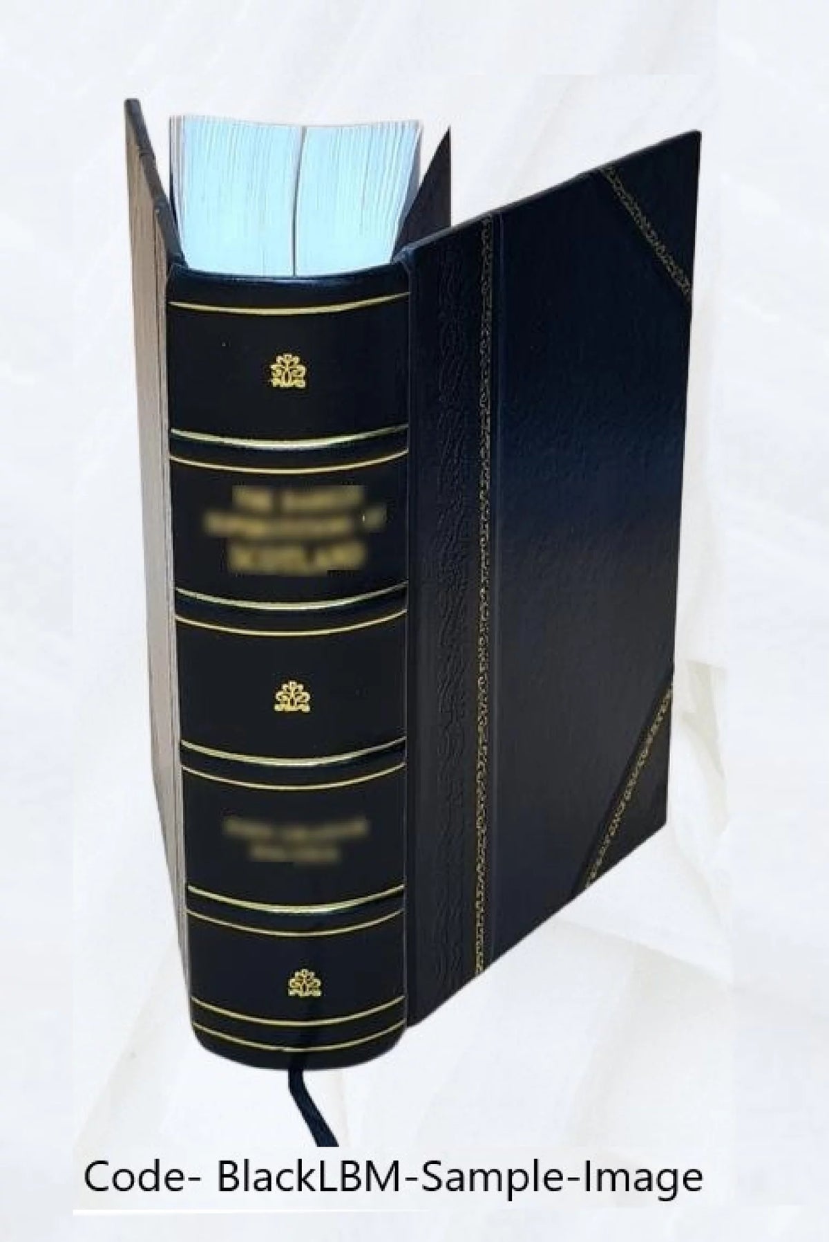 Analyse algébrique Leather Bound C600