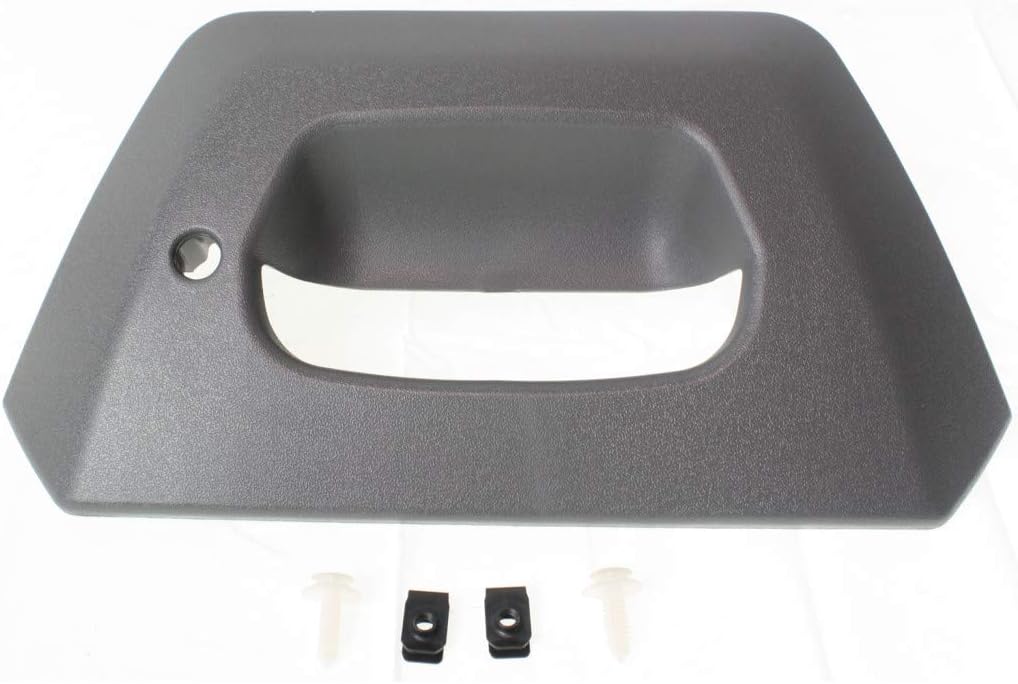 Textured Gray Plastic Tailgate Handle Bezel Pack of 2 D6575