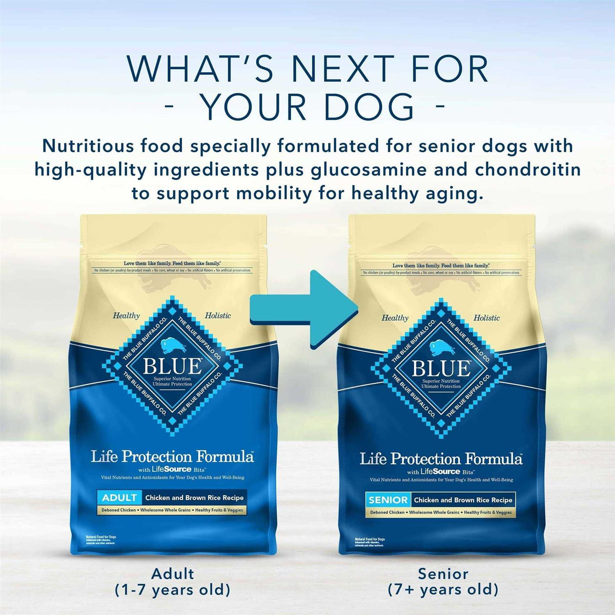 Adult Dry Dog Food Chicken and Brown Rice S94417