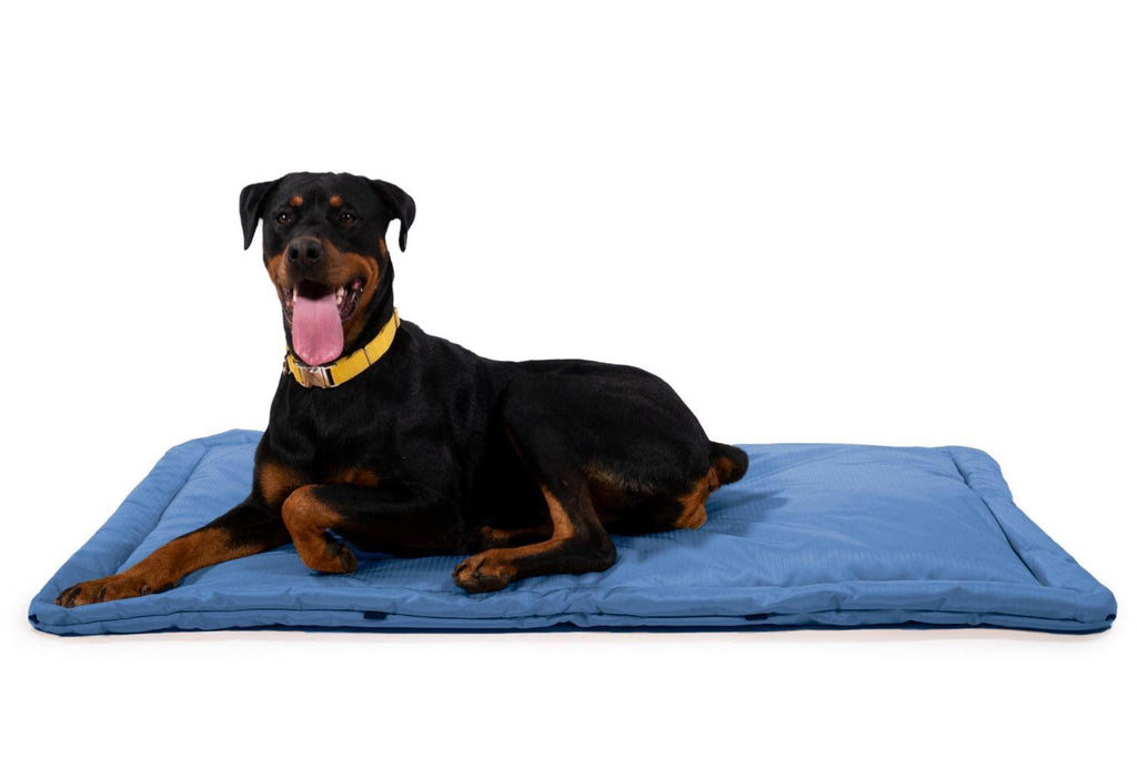 Chew Resistant Crate Pad, Blue / X-Large F185422