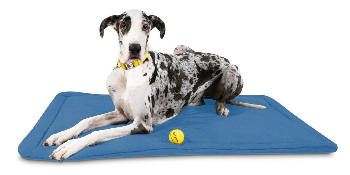 Chew Resistant Crate Pad, Blue / X-Large F185422