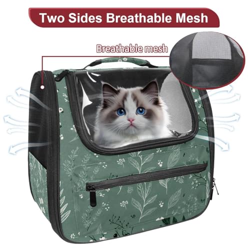 Halloween Pet Carrier Backpack with Ventilated Mesh Windows D60646