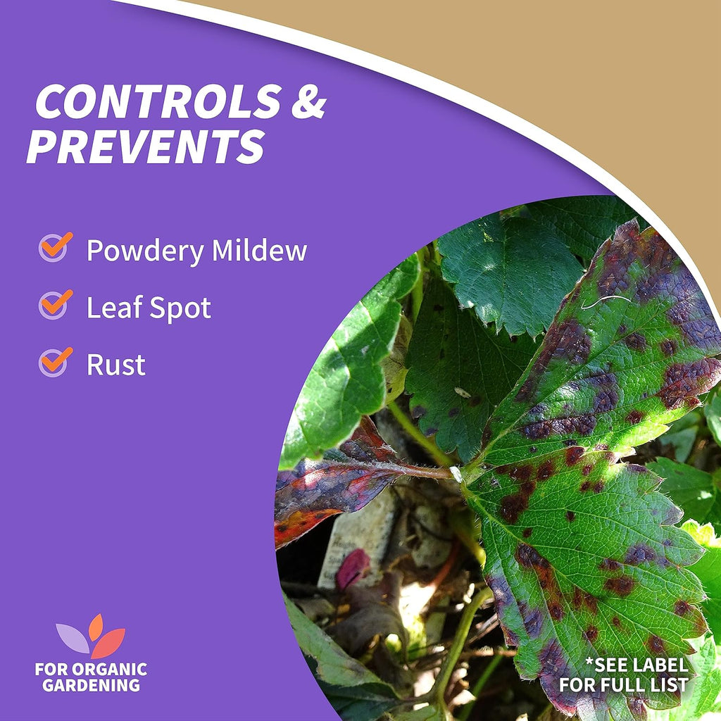 4 lb. Sulfur Plant Fungicide F378949