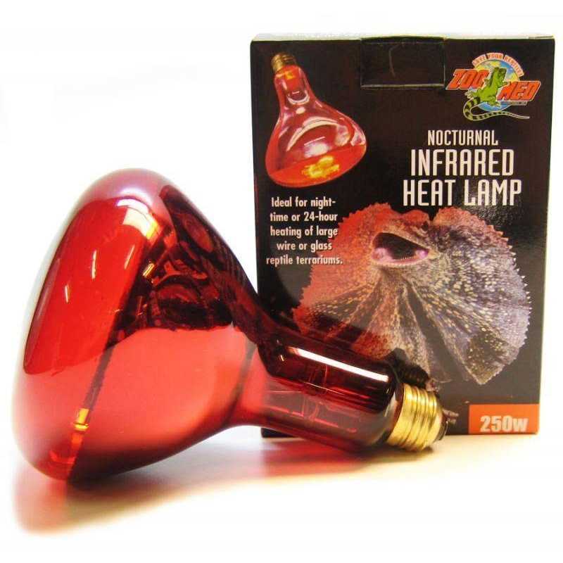 Infrared Heat Lamp Z6110