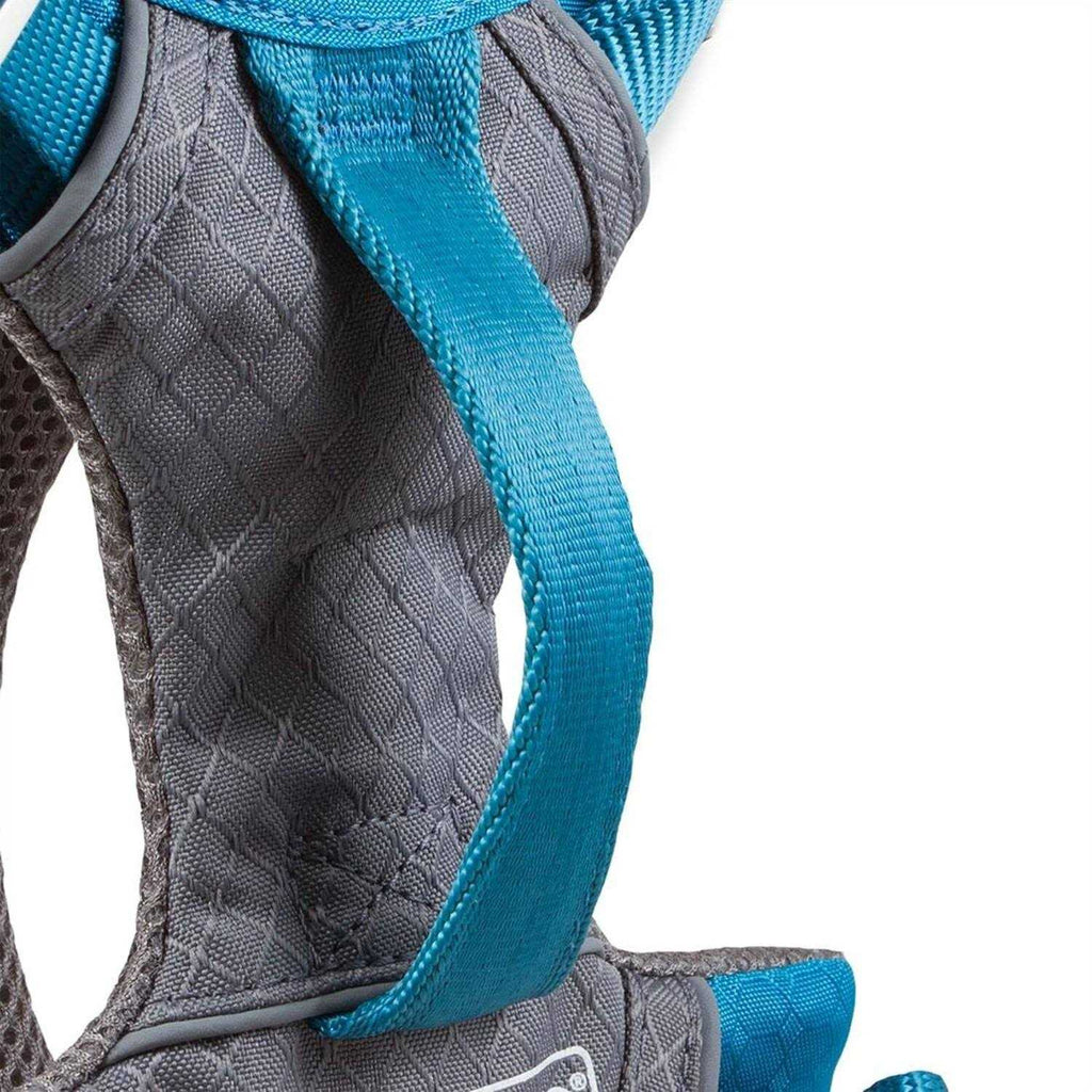 Dog Harness T42903