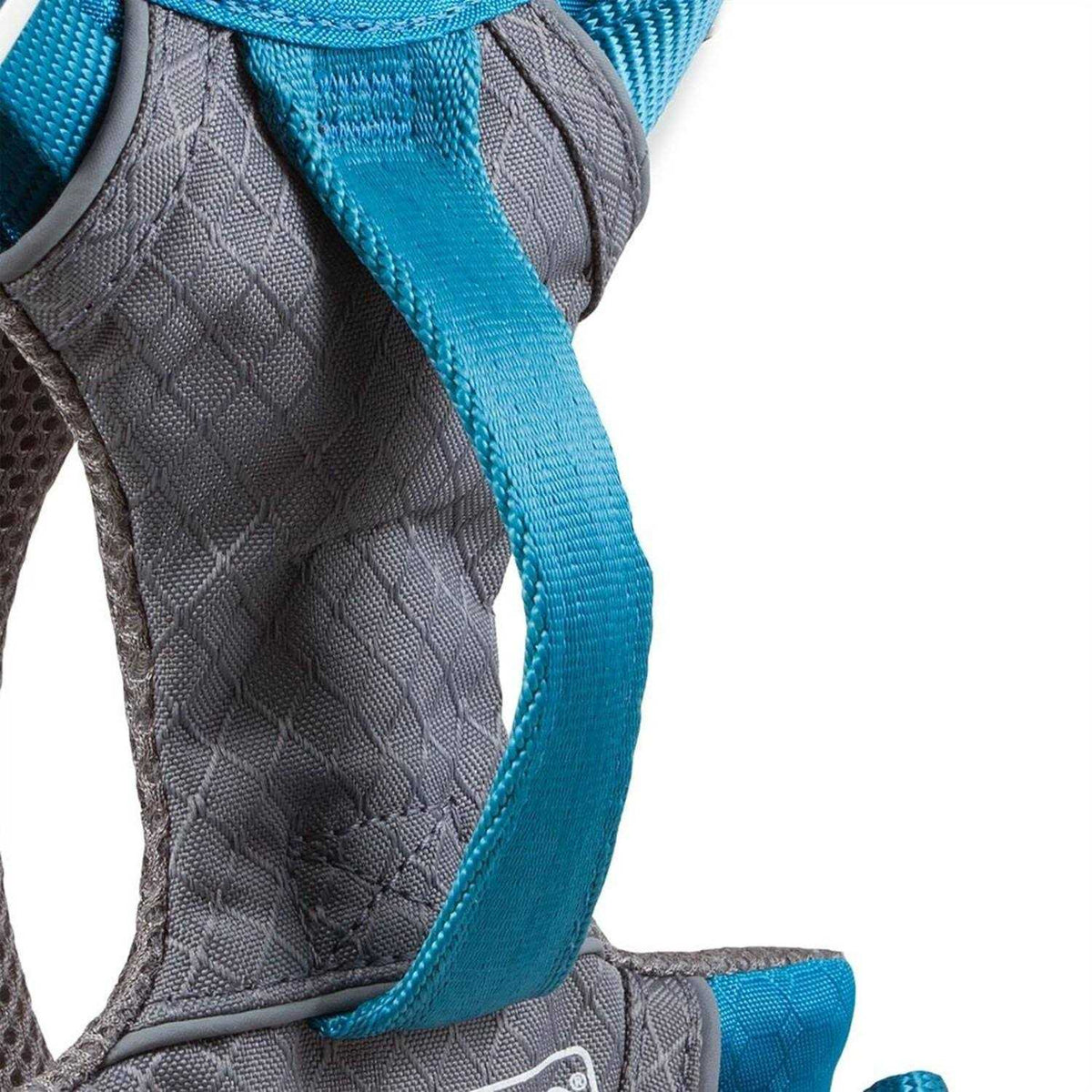 Dog Harness T42903