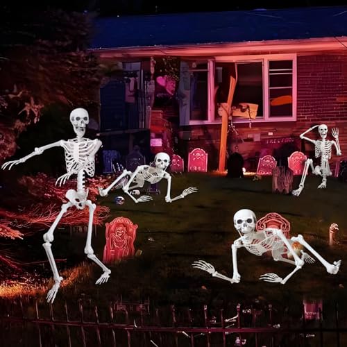 5.4Ft Halloween Life Size Human Skeleton with Movable Joints S960