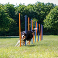 Dog Training Poles W333