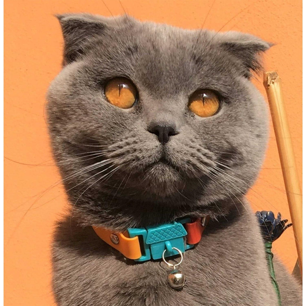 Breakaway Bell Cat Collar M361514