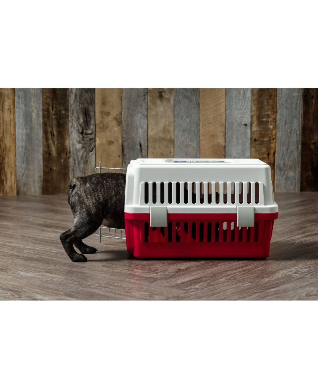 Pet Travel Carrier Navy Extra Small E9545