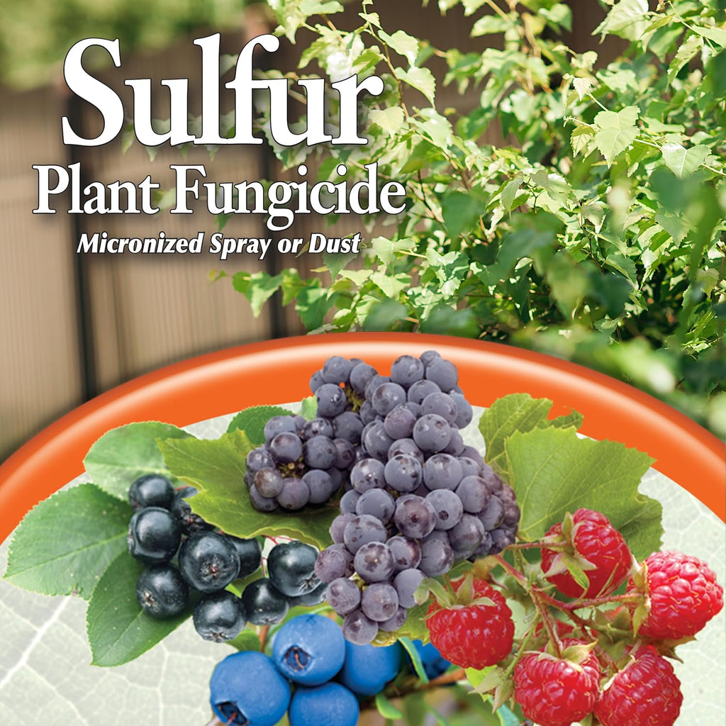 4 lb. Sulfur Plant Fungicide F378949