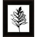 Framed Art Wood Black O911