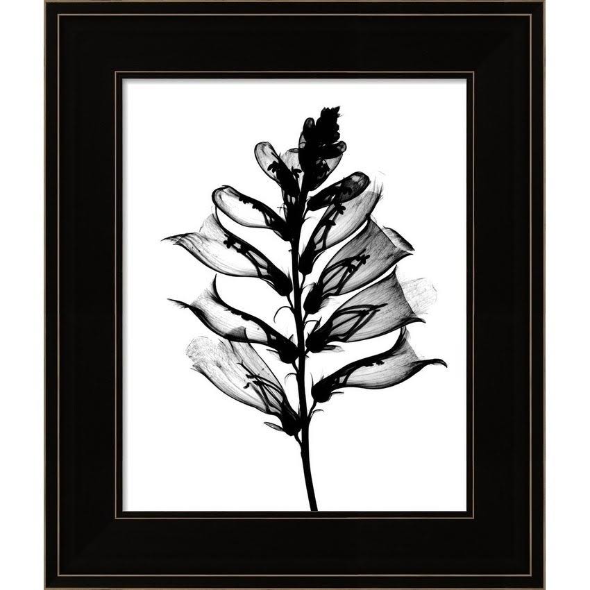 Framed Art Wood Black O911