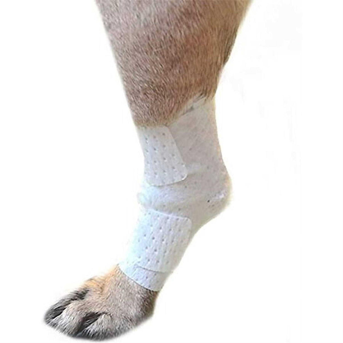 Pets Bandages Y569978