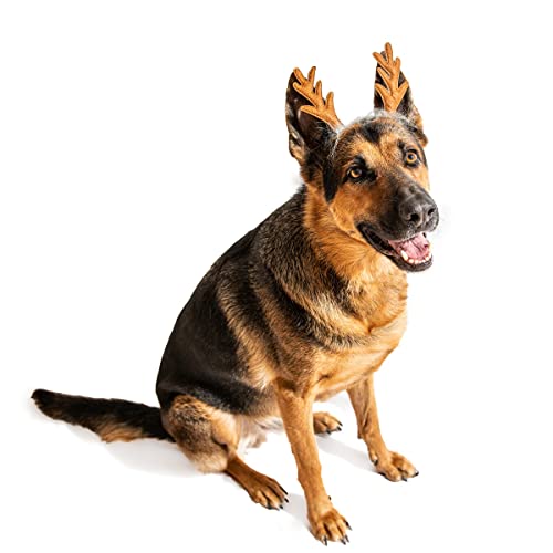 Dog Headband N105478