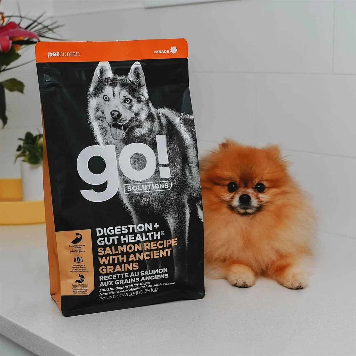 Salmon Recipe with Ancient Grains Dog Food K596