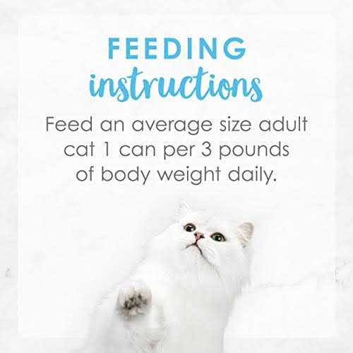 Wet Cat Food N6184