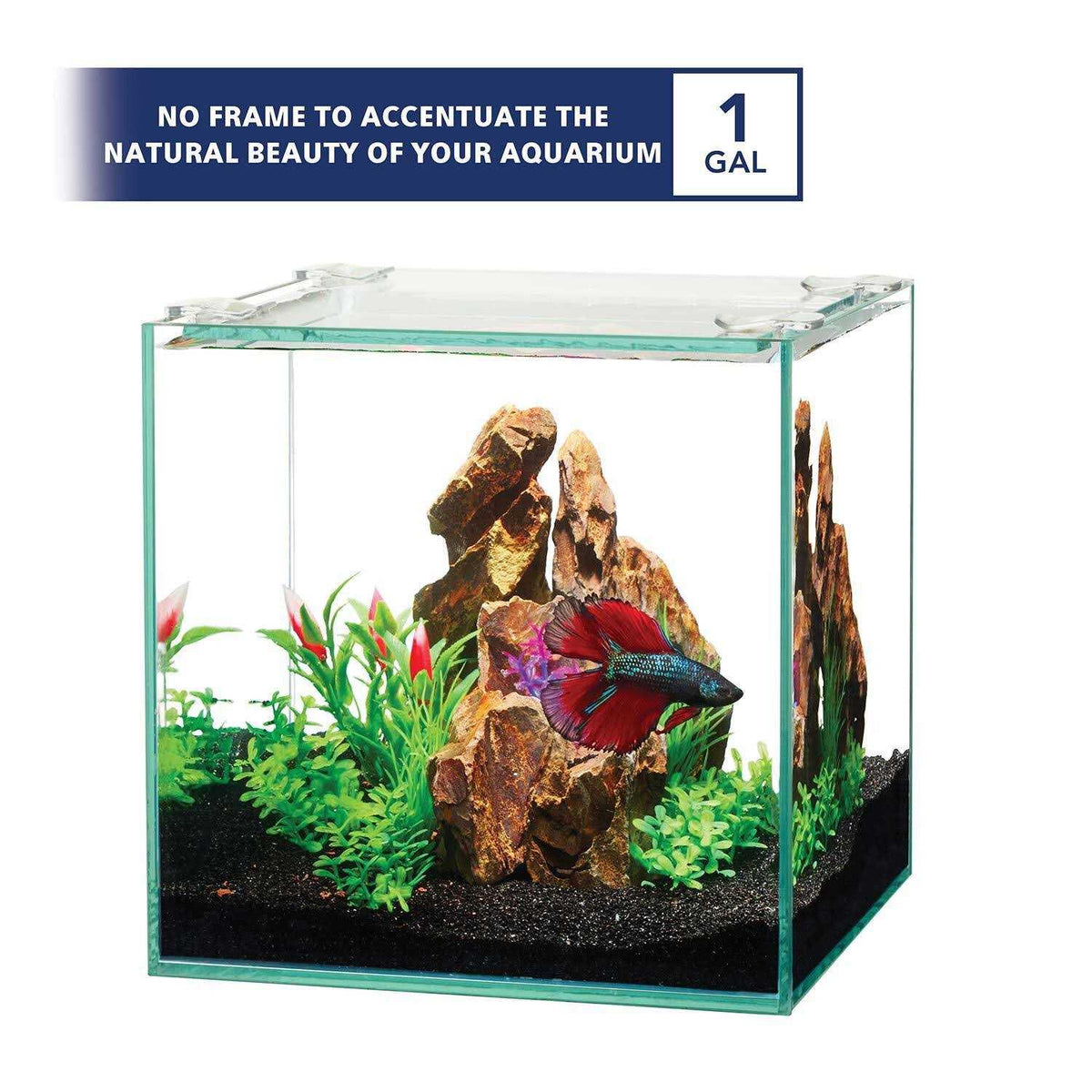 Frameless Cube Aquarium D912