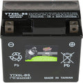 12V 4Ah AGM Powersports Battery Pack of 2 Y390