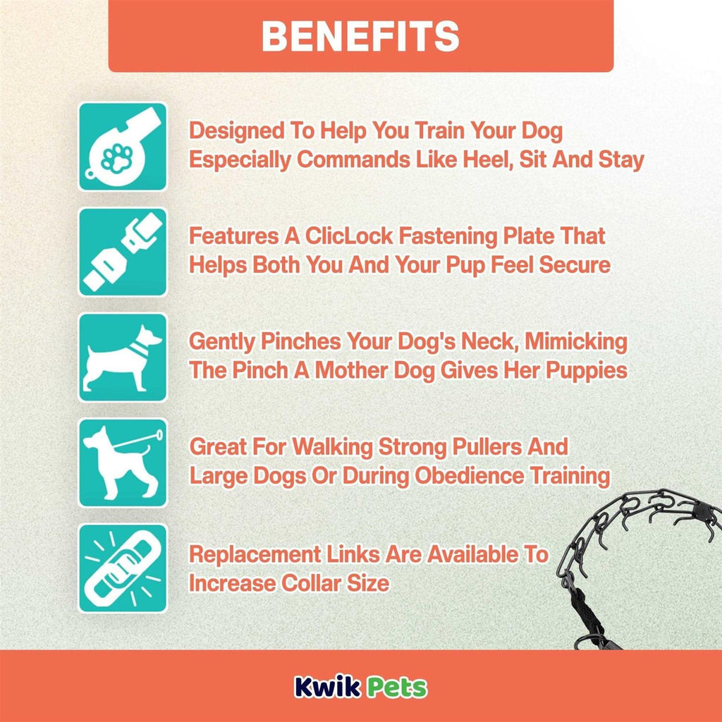 Training Dog Prong Collar with ClicLock, 14-in neck, 2.25-mm wide Q3671