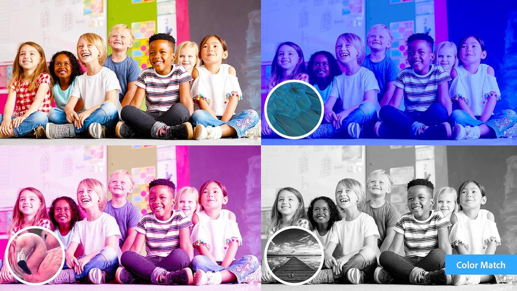 Photoshop Elements 2024 & Premiere Elements 2024 Student & Teacher Edition Mac Code X7197