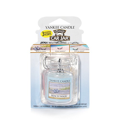 3-Pack Hanging Car Jar Air Fresheners F979