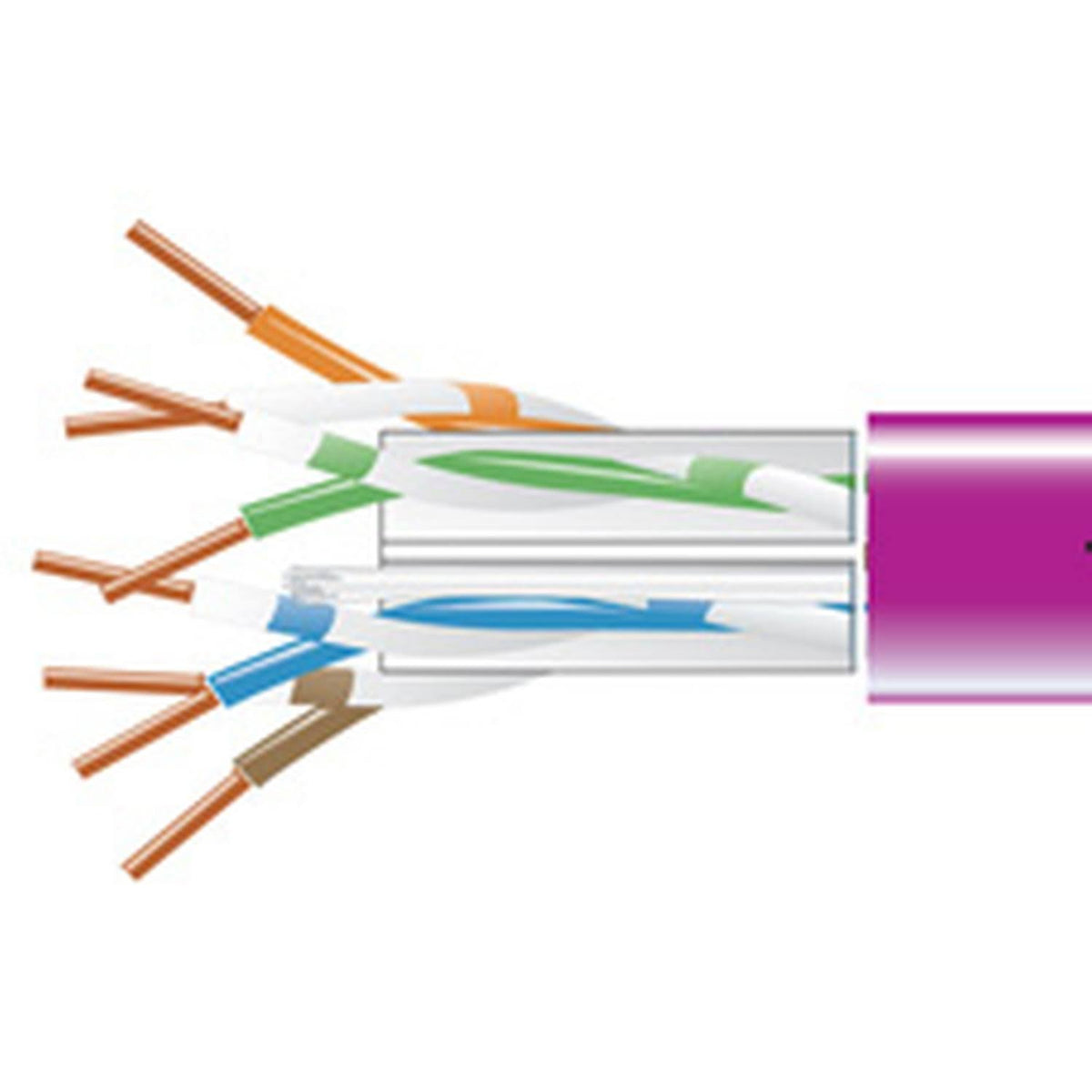 Violet Bulk CAT 6 Cable - 1000 ft V868673
