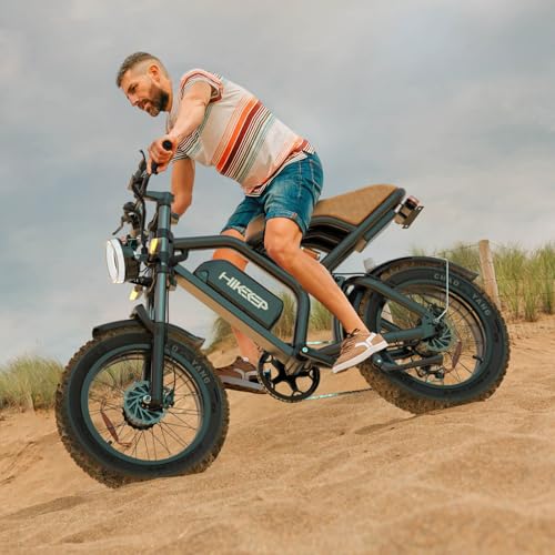 20 x 4 Inch Fat Tire 750W Electric Bike E15579