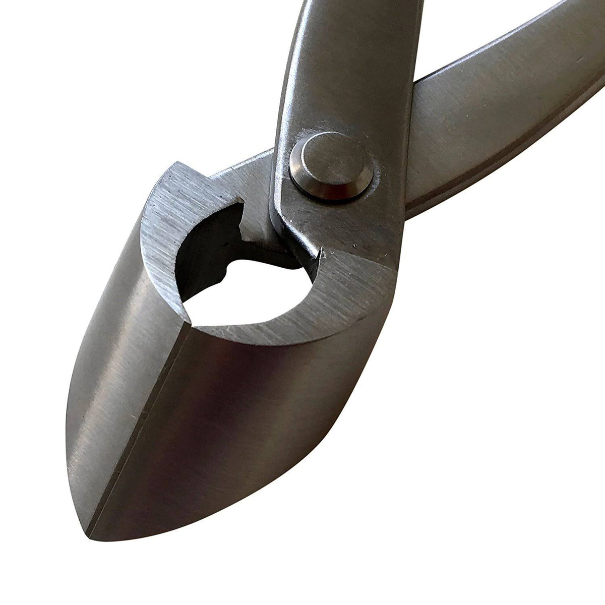11x22 Stainless Steel Bonsai Concave Branch Cutter H3462