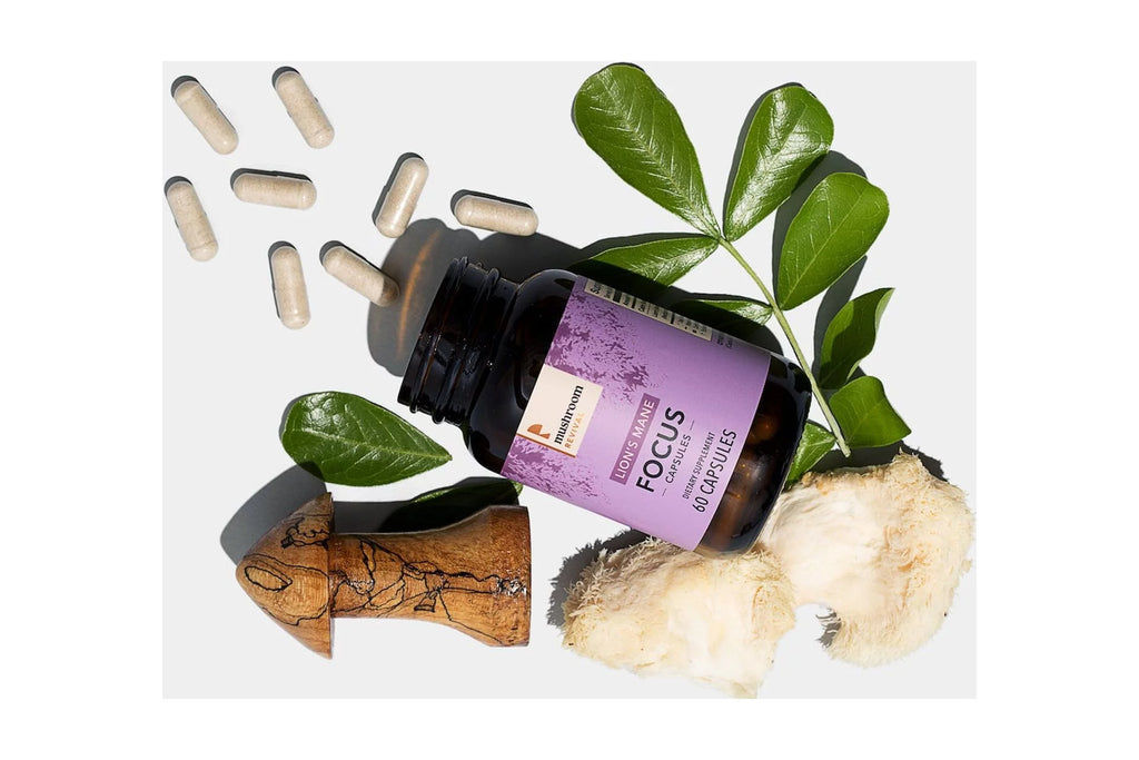 Lion's Mane Capsules C66836