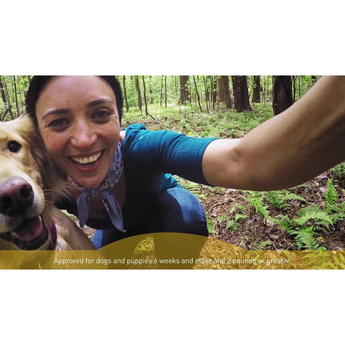 Interceptor Plus for Dogs O258